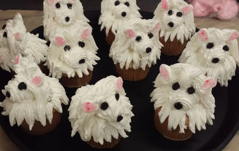 Decorated cupcakes from the Aloha bakery case